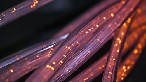 50% din traficul pe internet este format din roboți: "O amenințare omniprezentă și în creștere” / Zonele urmărite de către aceștia: jocurilor de noroc, comerț, călătorii și servicii financiare