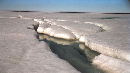 Banchiza Antarcticii se află la cel mai scăzut nivel din toate timpurile, de la începutul măsurătorilor