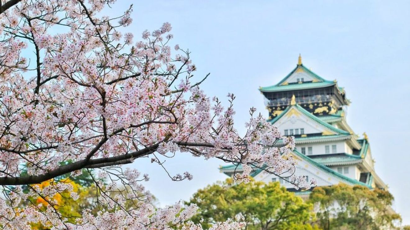 Turismul explodează în Japonia, cu un nou record în iulie