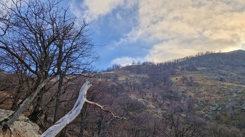 Maramureş: Patru ucraineni căutaţi pe munte, găsiţi de echipa de salvare după mai multe ore de căutări