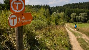 MedLife devine partener de sănătate și wellbeing în proiectul Via Transilvanica, „drumul care unește”