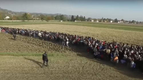 Poliția slovenă și cea croată au intensificat controalele împotriva migranților ilegali reținând 300 de persoane