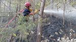 Incendiile din Franța ajung să afecteze și Turul Franței. Ultima etapă, redusă cu zeci de kilometri