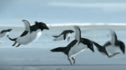 Ziua Păcălelilor de 1 aprilie: Care sunt originile sale și cum sărbătoresc europenii?