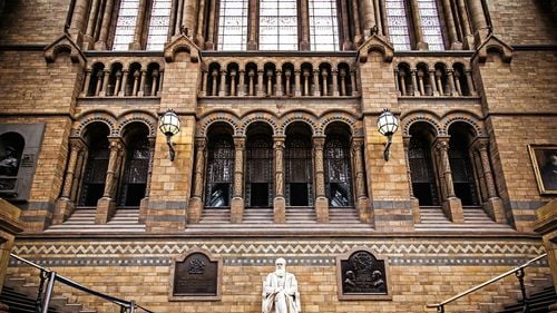 Conţinutul întregii biblioteci personale a lui Charles Darwin, dezvăluit pentru prima dată / Ultima carte care i-a fost citită cu voce tare