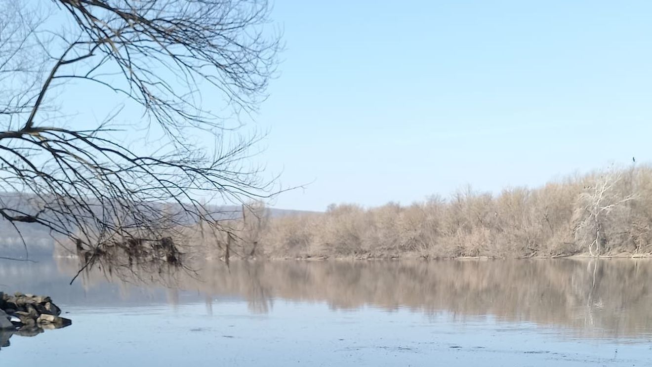 Ambasadorul Rusiei la Chişinău, convocat la ministerul de Externe moldovean, unde i-a fost înmânată o notă de protest în legătură cu atacul Rusiei asupra complexului hidroenergetic „Novodnestrovsk” din Ucraina, care a dus la o poluare de proporţii pe Nistru
