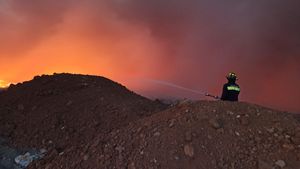 Au fost suplimentate efectivele de pompieri care acţionează la incendiul de la groapa de gunoi din Arad / Din  cauza vântului puternic există riscul extinderii flăcărilor