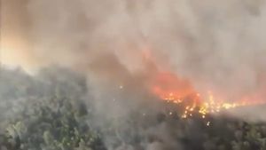 Incendiile din Australia au trimis în stratosferă tot atât de mult fum cât o erupţie vulcanică importantă / Cercetător: Fumul a părăsit Australia prin est şi a revenit prin vest după două săptămâni, este incredibil