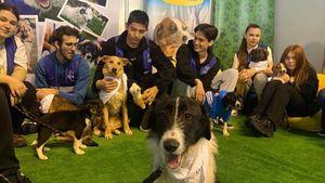 VIDEO Exclusiv | Iubești animalele? Uite cum poți să le fii alături: ASPA caută voluntari pentru cățeii nimănui