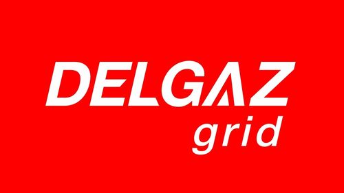 ANUNȚ: S.C. Delgaz Grid S.A. organizează licitaţie publică în vederea vânzării unor imobile (P)