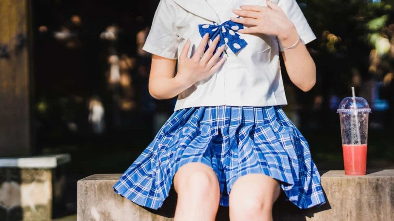 Ecaterina Andronescu: Nu susțin acordarea de statut de funcționar public profesorului / Ministrul recomandă uniforme școlare, ca element de asigurare a securității