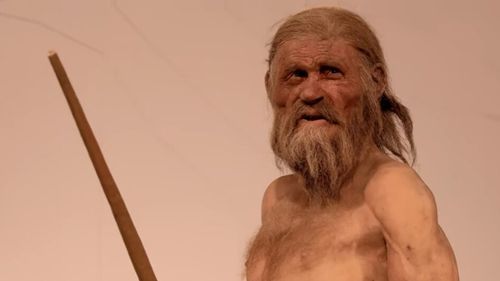 VIDEO Cum arăta, de fapt, Otzi, omul ghețurilor? Detaliile mai puțin știute despre celebra mumie din Europa (studiu)