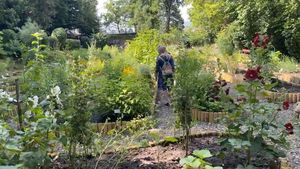 O grădină botanică din Chile renaşte cu ajutorul unor specii rezistente la incendii
