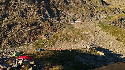 Tânăr de 21 de ani, rănit grav în Munţii Făgăraş, după ce a fost atacat de câinii de la o stână / Cabanierii avertizează că în zonă sunt 6-8 câini din rasa ciobănesc kangal