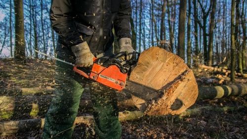 Comisia Europeană propune noi sancțiuni și pedepse mai aspre pentru infracțiunile de mediu/ Inițiativa va fi trimisă la negocieri în Parlamentul și Consiliul Europene