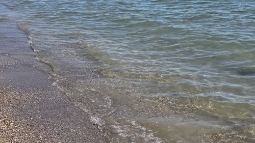 Uniunea Europeană va investi 116 milioane de euro în 13 proiecte de refacere a oceanelor şi a apelor, ce includ  inclusiv Marea Neagră şi fluviul Dunărea