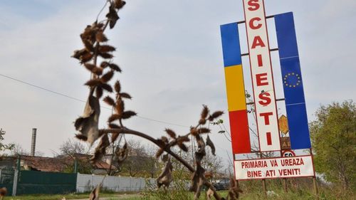 EXCLUSIV Nepoți, cumnate, salarii umflate: Câte relații de rudenie sunt între primăria dintr-o comună din Dolj și Consliul Local / Un raport al Curții de Conturi arată că salariile au fost mărite nejustificat cu 70.000 de lei