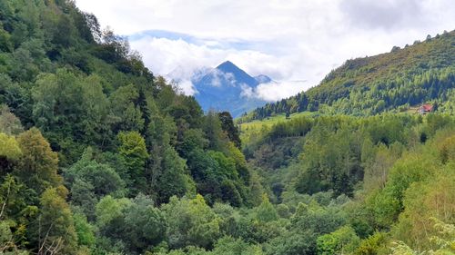 UPDATE Familia căutată în Poiana Pelegii din Retezat a fost găsită în siguranţă / O familie din București cu doi copii, de 8 şi 3 ani, este de negăsit de două zile după ce a pornit spre zona montană din Parcul Național Retezat