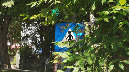 Cine se face vinovat în cazul unui accident care are loc din cauză că lipsesc indicatoarele rutiere? Ce spun specialiștii în siguranță rutieră și cum se apără Administrația Străzilor