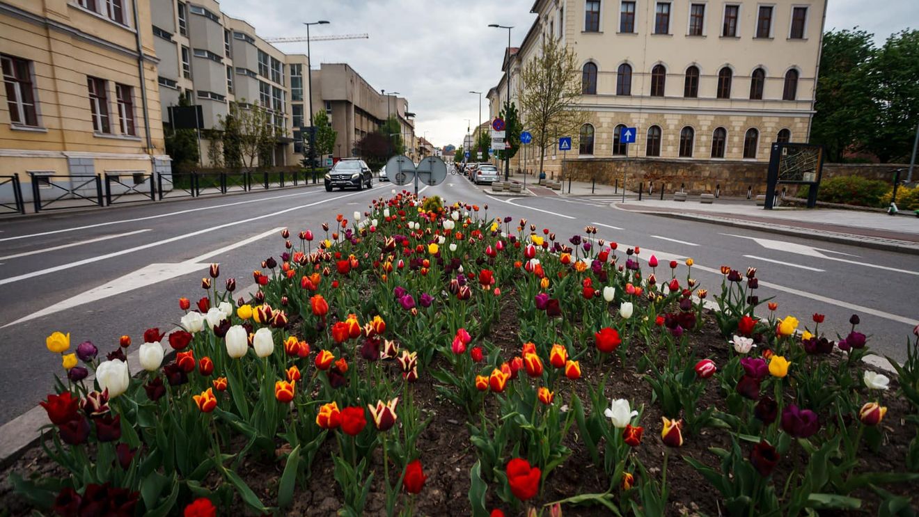 Incidența COVID a depășit pragul de 23 de cazuri la mia de locuitori, în Cluj-Napoca