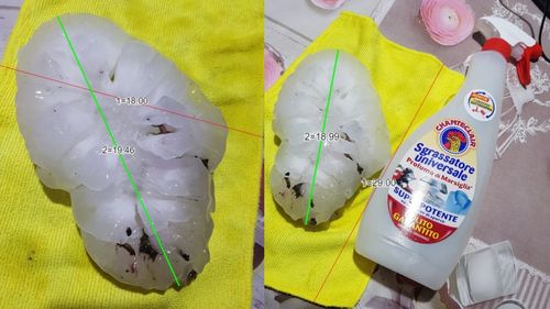 Grindină cu diametrul de 19 centimetri, record pentru Europa, a lovit nordul Italiei