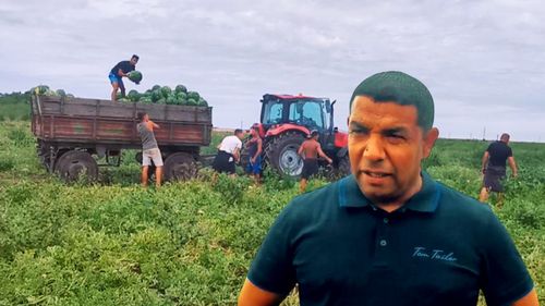 FOTO-VIDEO | Comuna Lovrin, noua capitală a pepenilor din România. Povestea tânărului care a pornit „de jos” și a ajuns cel mai mare cultivator din zonă / Vasile Dobre lucrează peste 25 de hectare: „Am început lucrând cu ziua la alții”