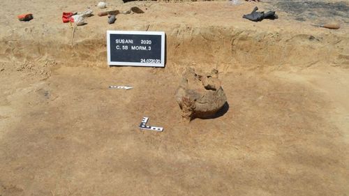 Vase cu cenuşă umană, descoperite de arheologii din Timiș / Mormintele sunt din perioada târzie a Epocii Bronzului