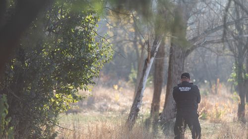 Nicușor Dan anunță o amendă-record de 35 de milioane de euro pentru proprietarul zonei defrișate din Parcul Titan (IOR). Robert Negoiță a încercat să deturneze conferința primarului general al Capitalei