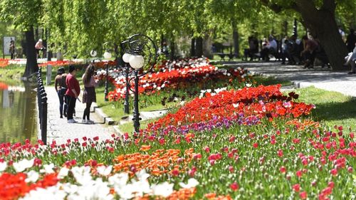 Primăria Craiova introduce internet în Parcul Romanescu. Serviciul a fost scos la licitaţie