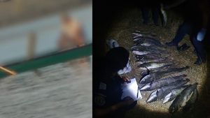 Doi bărbați care braconau pe râul Mureș folosind curent electric, prinși de jandarmi / Aveau în barcă 19 bucăți de somn