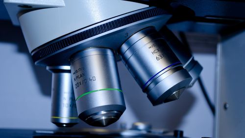 Guvernul a aprobat plata cotizaţiilor pentru interconectarea Registrului Naţional al Donatorilor Voluntari de Celule Stem Hematopoietice cu instituţii similare internaţionale, şi pentru acreditarea laboratoarelor de imunogenetică, în valoare de aproximativ  8300 euro
