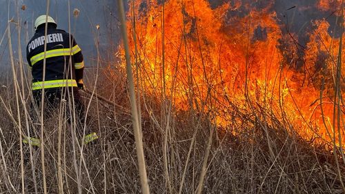 Incendiu de vegetație puternic în Vâlcea, intervin șapte autospeciale de stingere