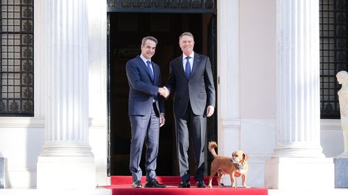 "Peanut", câinele prim-ministrului grec Mitsotakis, apare în fotografia oficială a preşedintelui Klaus Iohannis cu oficialul din Republica Elenă