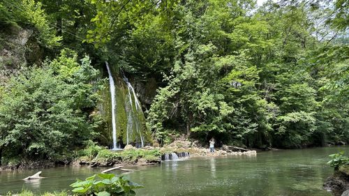 FOTO Plimbarea de week-end: Traseu cu pădure, cascadă, peșteră și tuneluri în Bihor. Plus coji de semințe