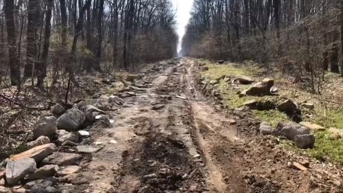 VIDEO Pădurea Snagov, sufocată de gunoaie menajere și deșeuri din construcții