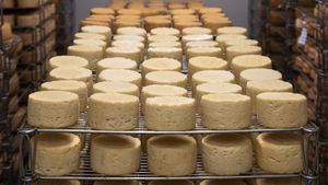 România a crescut cu 40% producția de brânză, după aderarea la Uniunea Europeană / 15.000 de tone, livrate în 2023
