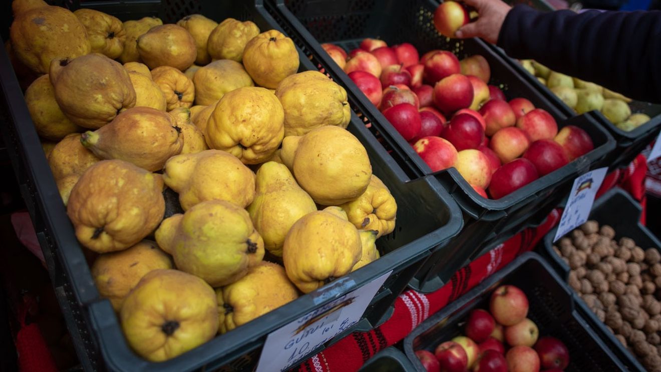 Exportul de legume moldovenești în Ucraina este în continuă creștere