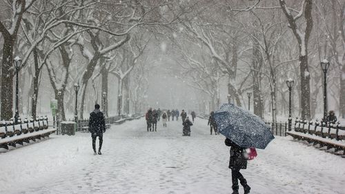 Meteorologii anunţă ninsori la Bucureşti: se va depune strat de zăpadă de până la 12 centimetri