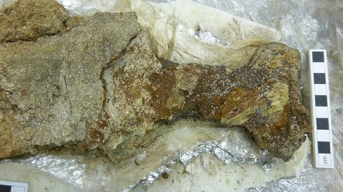 O sabie vikingă rară, descoperită în extremitatea nordică a Scoției, are „multe povești de spus”, susțin arheologii