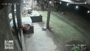 VIDEO O pisică salvează viața unui câine atacat de doi coioți în curtea unei case din Dakota de Nord / „Nici într-un milion de ani nu m-aș fi așteptat ca o pisică să facă asta / Știa exact ce se întâmplă. Fără nicio ezitare, a acționat”
