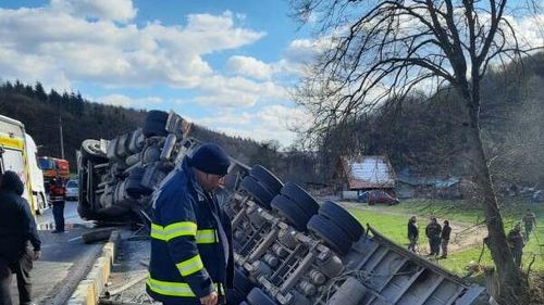 Autocamion încărcat cu 54 de bovine, răsturnat la ieșirea din Sighișoara. 12 animale au murit