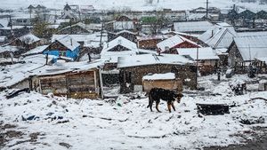 The New York Times: Compania lui Trump, implicată într-o serie de tranzacții imobiliare, și-a îndreptat atenția spre Transilvania / Se poate acomoda proiectul unui cartier rezidențial de lux chiar lângă „Pata Rât” din Cluj?