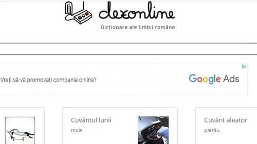 NO COMMENT Cuvântul lunii pe dexonline.ro