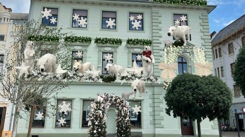 FOTO Cinci clădiri monument din centrul Oradiei vor fi decorate pentru prima oară, de Crăciun, cu brazi, urși polari, fundițe și turtițe