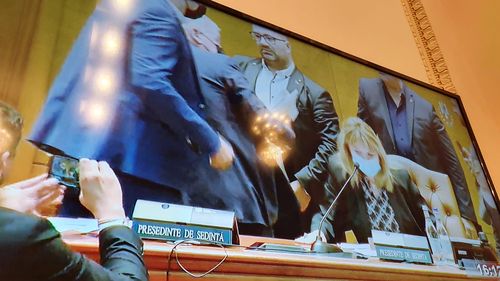 Cine sunt Titi ”Patru Mâini” și Antonio Andrușceac, parlamentarii AUR care l-au evacuat de la prezidiu pe liberalul Florin Roman: un fost șef de gară și bodyguard în Londra, membru în galerie, și un fost USR-ist