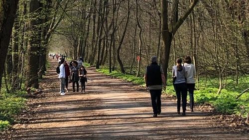 Diana Buzoianu: Pădurea Băneasa ar putea fi declarată arie naturală protejată în 2026