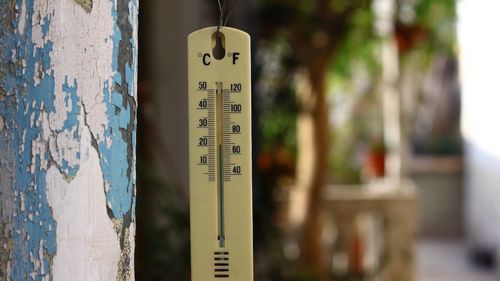 Meteo: Temperaturi de primăvară în toată țara / Temperaturile ajung sâmbătă și la 12 grade