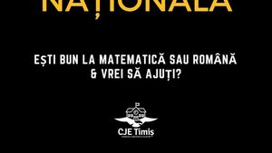 Liceeni care meditează gratuit la Matematică și Română alți copii, pentru Evaluarea Națională de la clasa a VIII-a – Proiect lansat de Consiliul Elevilor Timiș