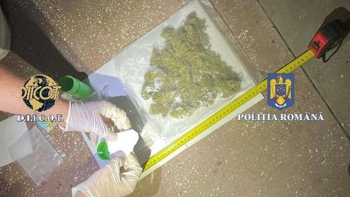 Un bărbat coordona din pușcărie traficul de droguri la Baia Mare. El folosea un telefon mobil introdus ilegal în penitenciar