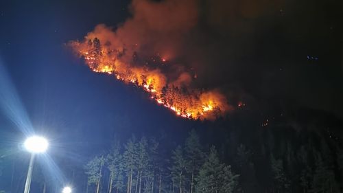 Incendiu pe 70 hectare de pădure în Șoimari - Prahova